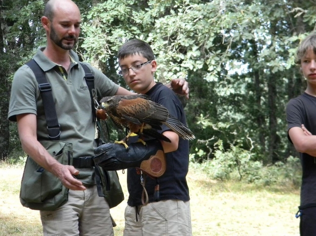 Con aves rapaces
